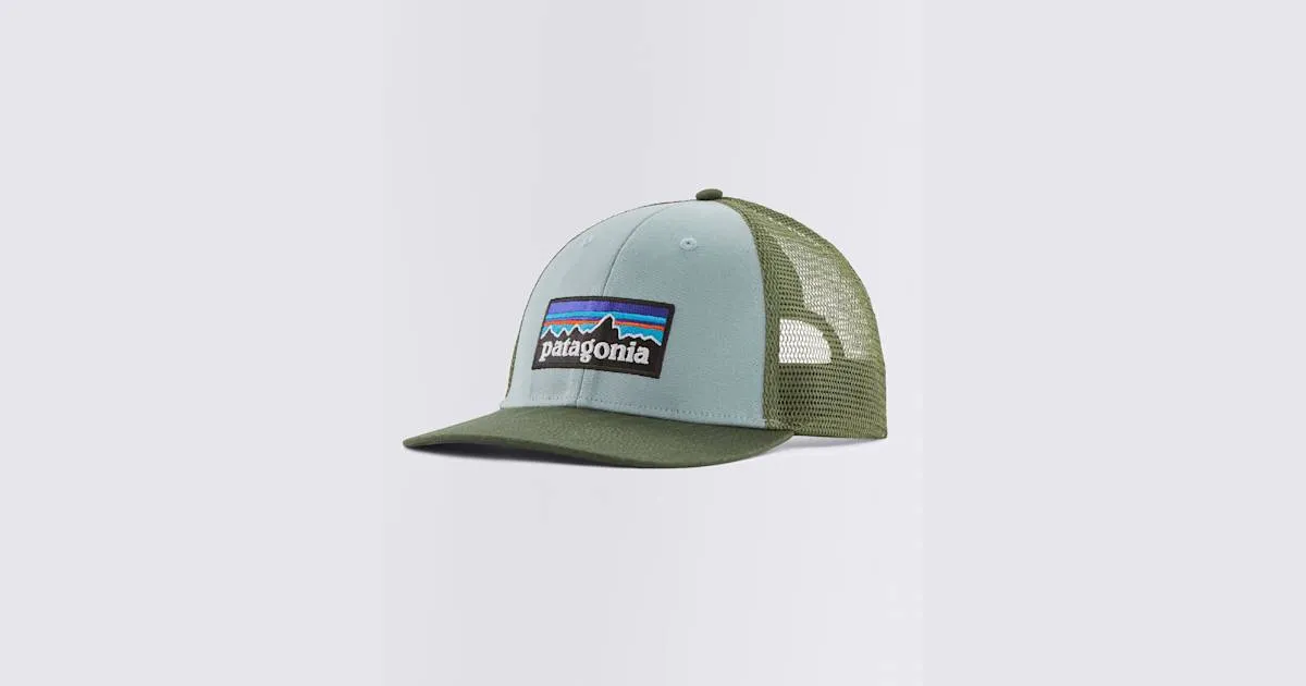 Cap Patagonia P-6 Logo LoPro Trucker Hat