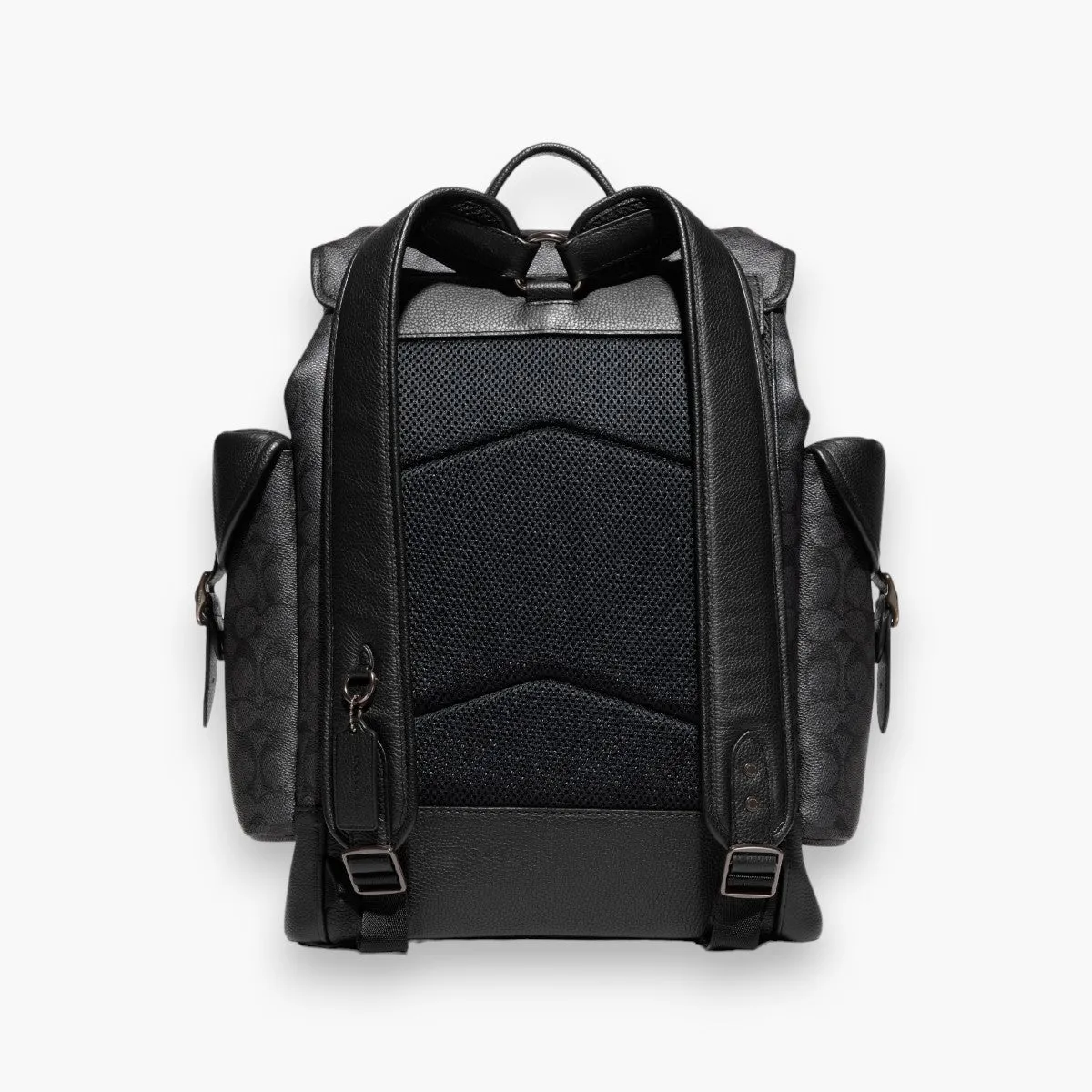 Hitch Backpack In Signature Canvas