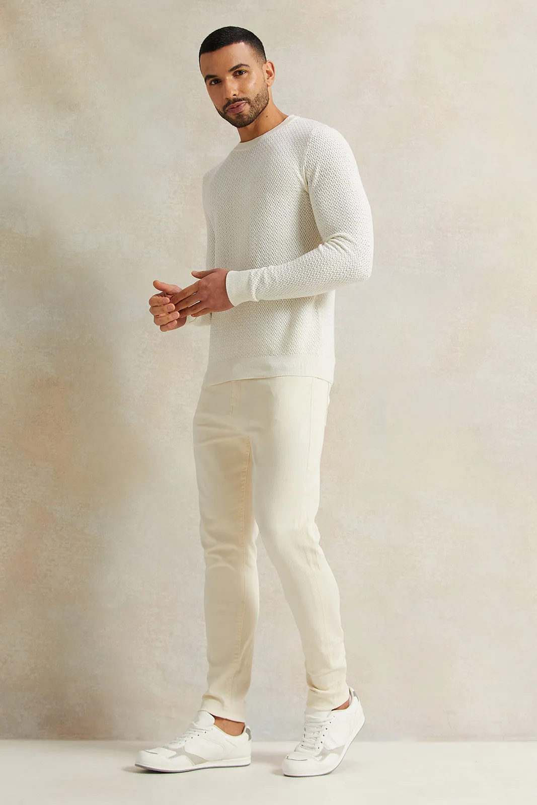 Men Beige Jacquard Pullover