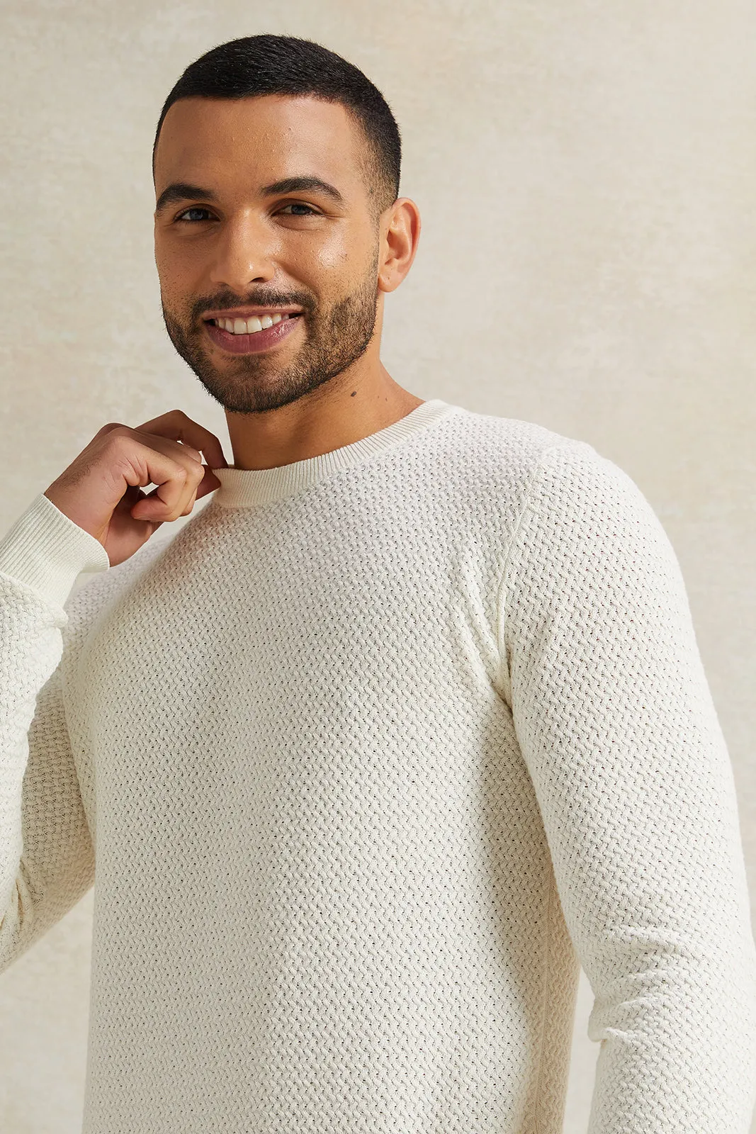 Men Beige Jacquard Pullover