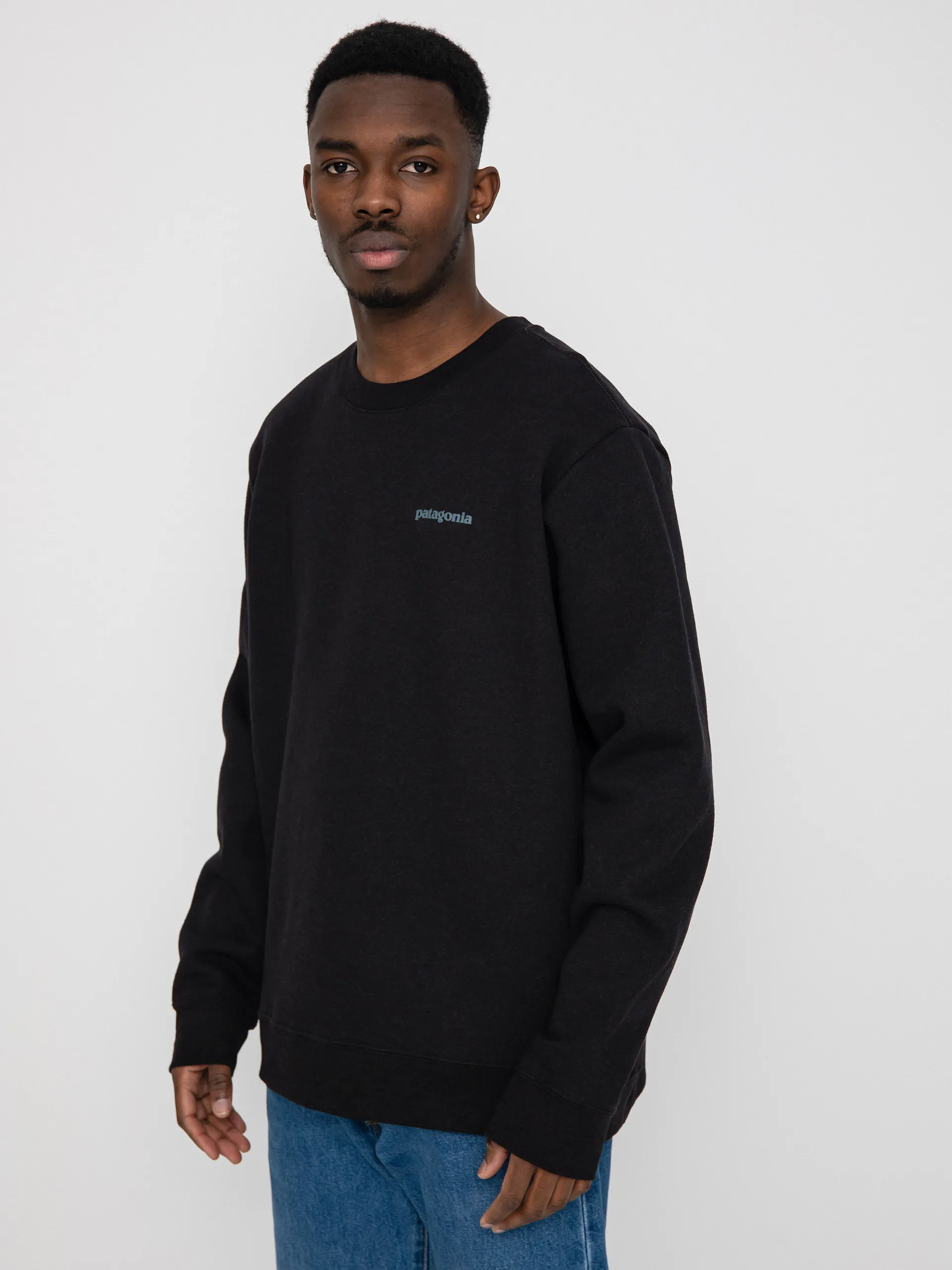 Patagonia Fitz Roy Icon Uprisal Crew Sweatshirt (ink black)