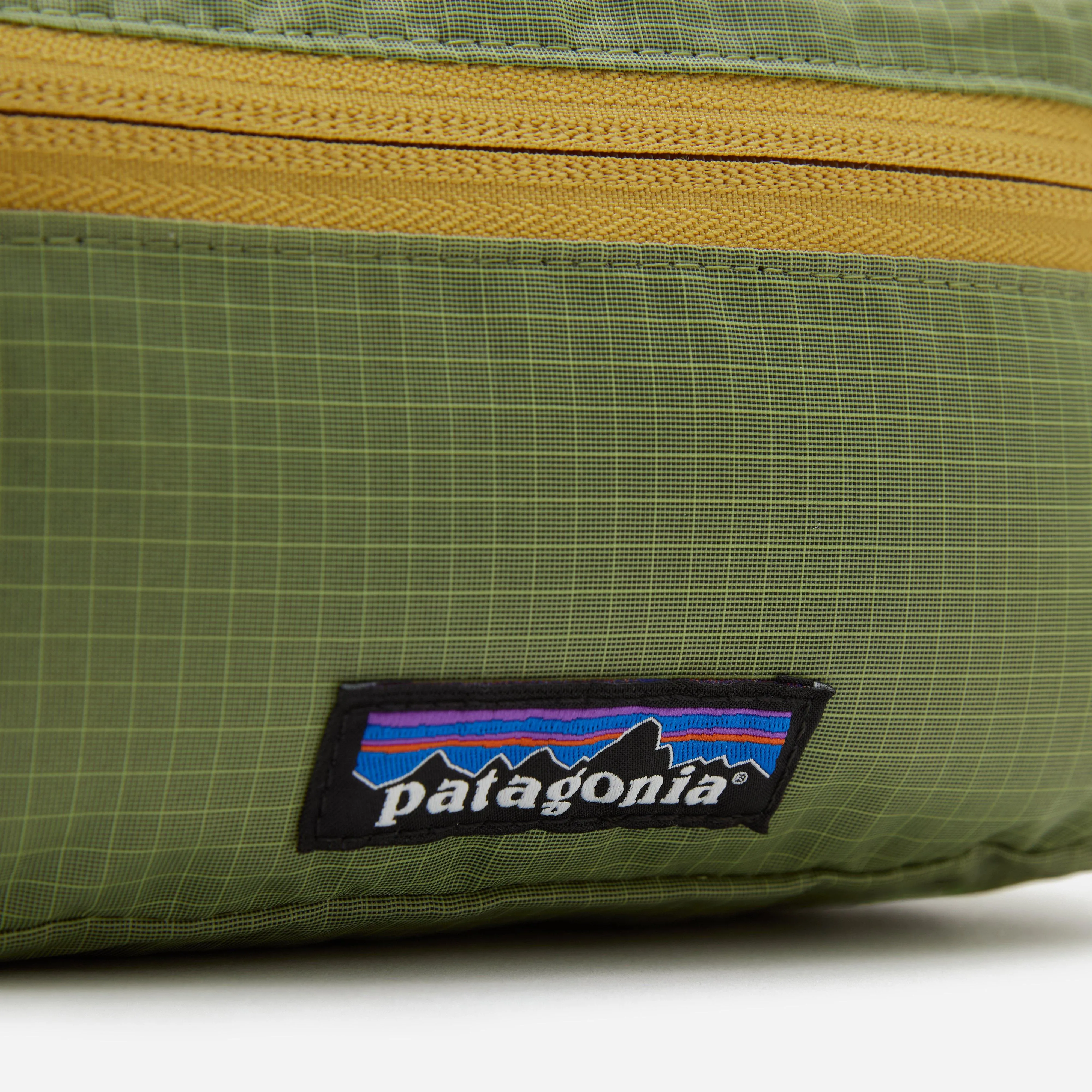 Patagonia Mini Hip Pack