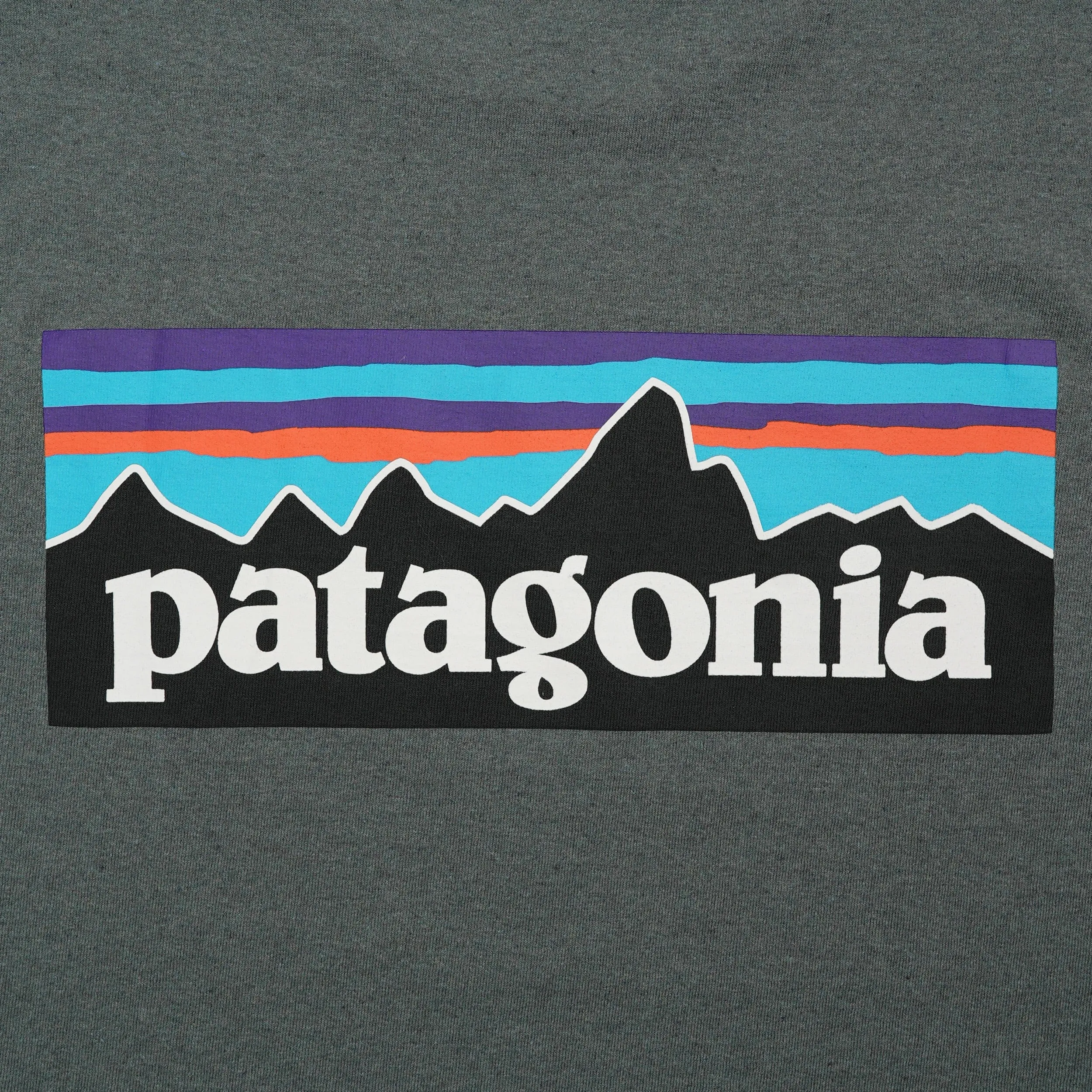 Patagonia P-6 Logo Responsibili-Tee T-Shirt Nouveau Green