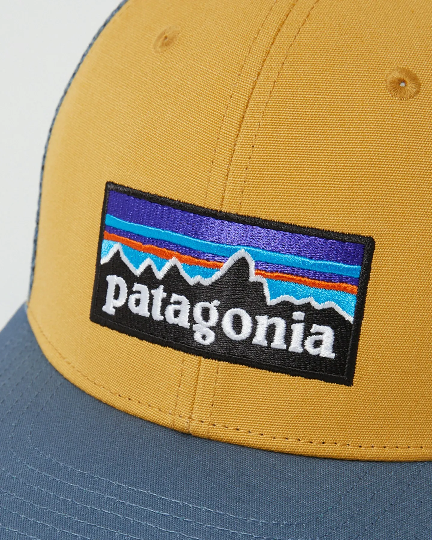 Patagonia P-6 Logo Trucker Hat - Pufferfish Gold | SurfStitch