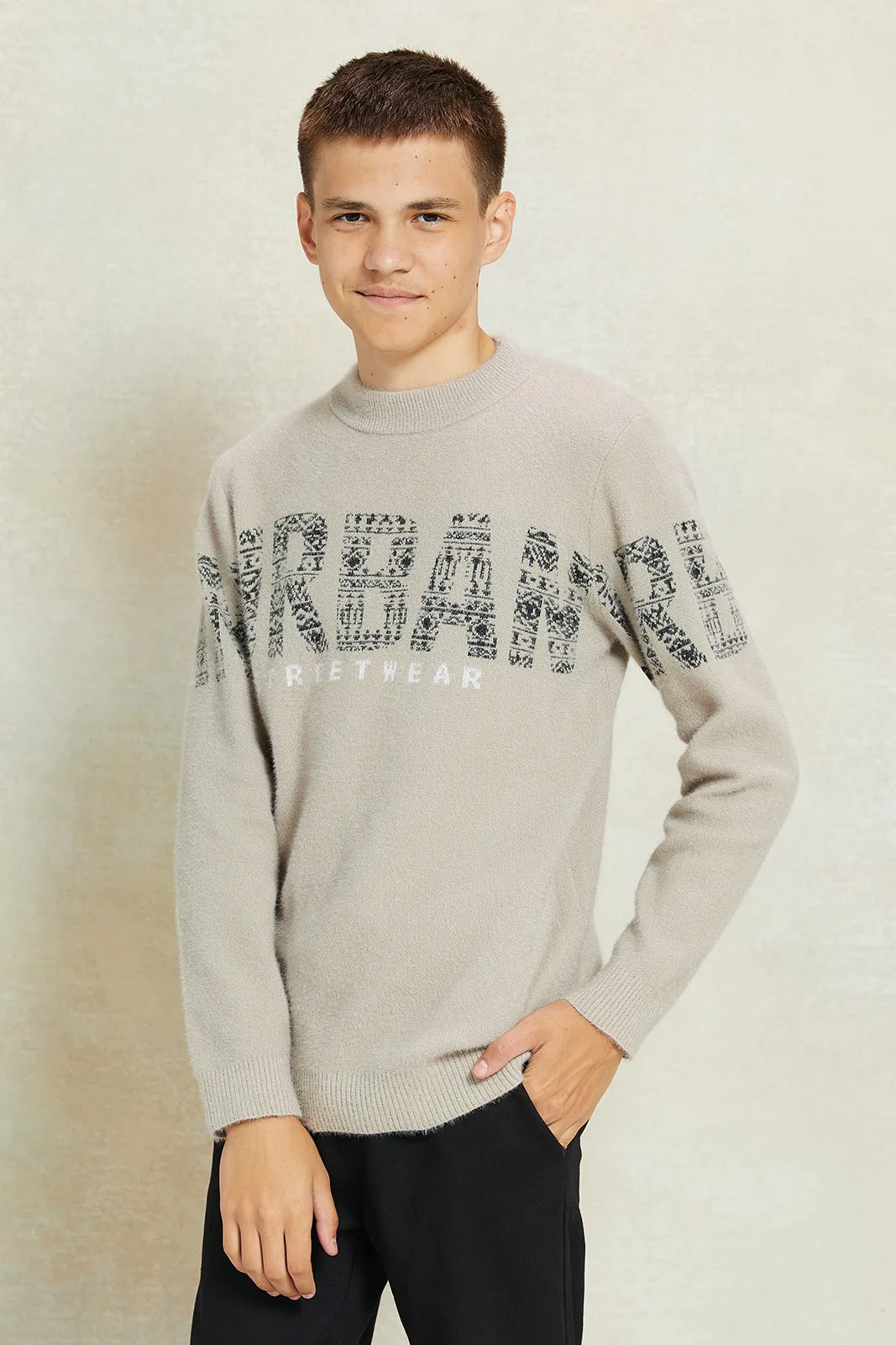 Senior Boys Beige Printed Pullover