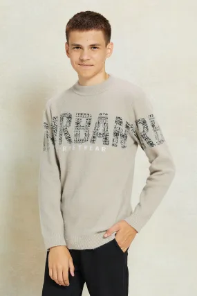 Senior Boys Beige Printed Pullover