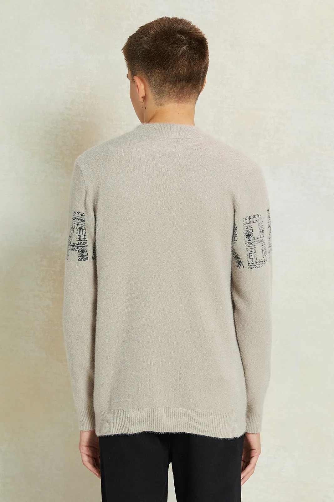 Senior Boys Beige Printed Pullover