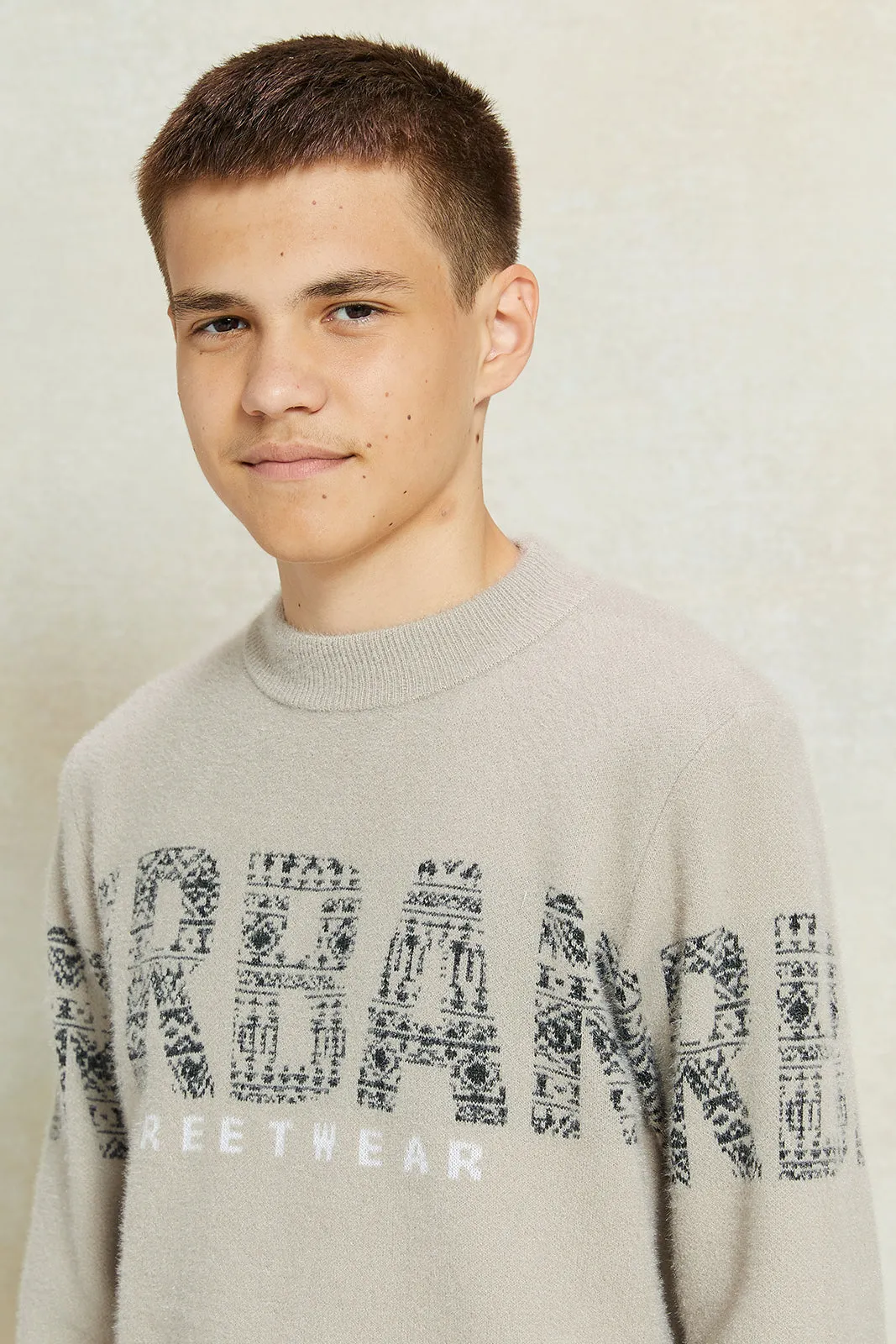 Senior Boys Beige Printed Pullover